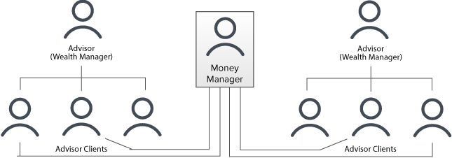 estrutura da conta de gerenciadores de carteira